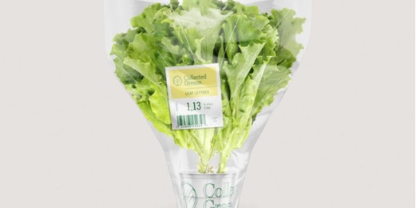 熱敏紙（zhǐ）上的字（zì）消失了還可以恢複嗎？